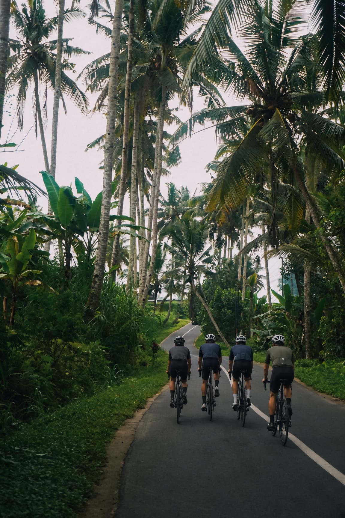 Group of cyclists riding a tropical palm-lined road in Sri Lanka