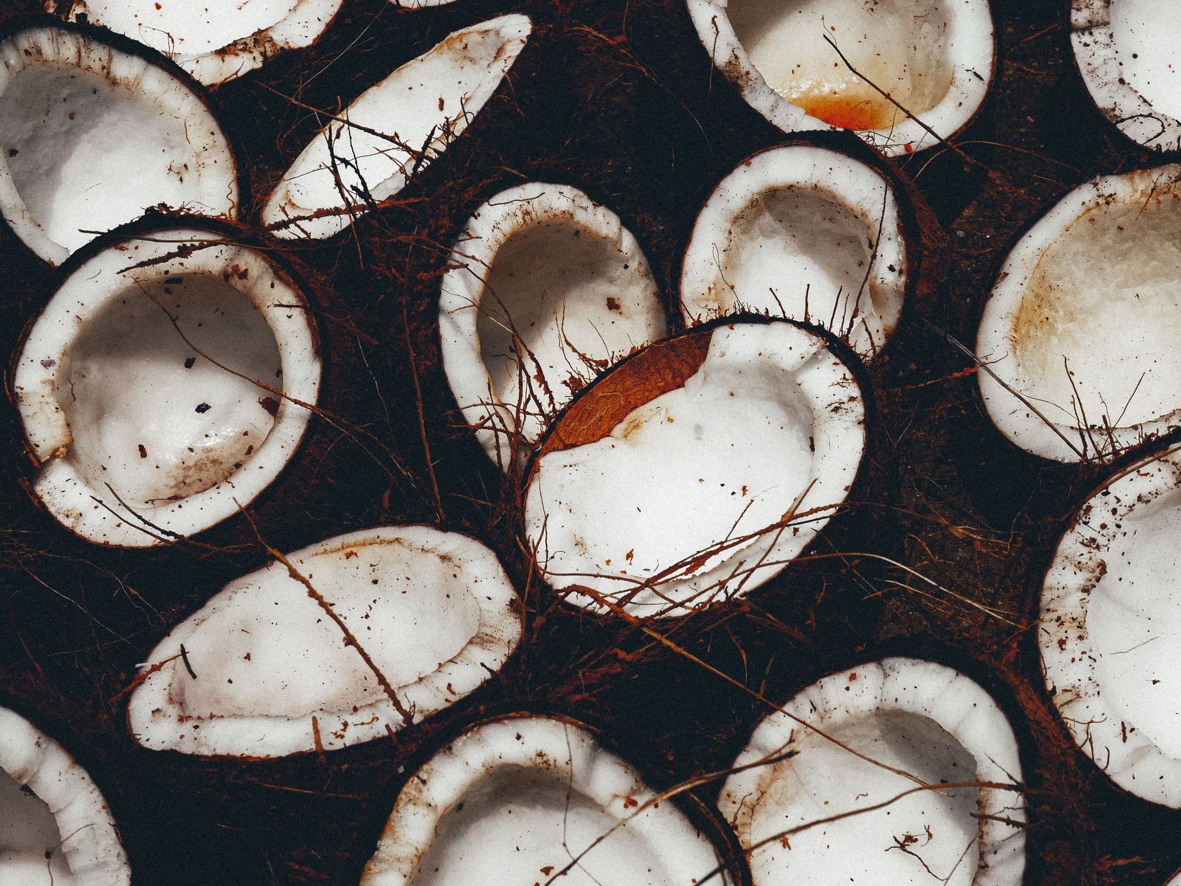 Fresh coconut halves gathered for processing in Sri Lanka