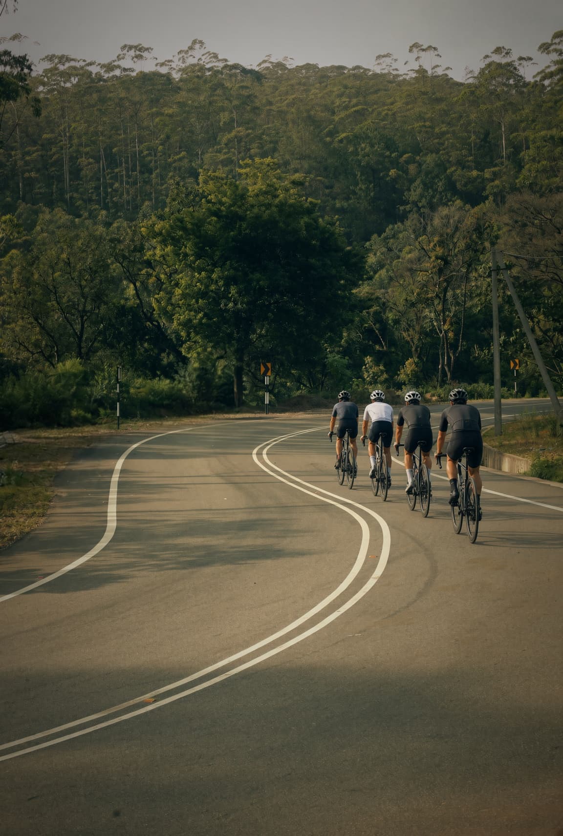 Group of cyclists riding a forest road between Hatton and Kandy