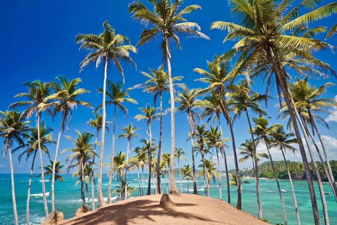 Coconut Hill viewpoint over Mirissa, south coast