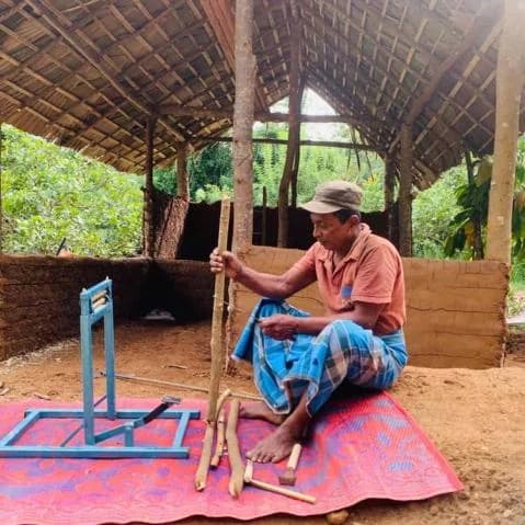 Traditional cinnamon processing at a Sri Lankan plantation