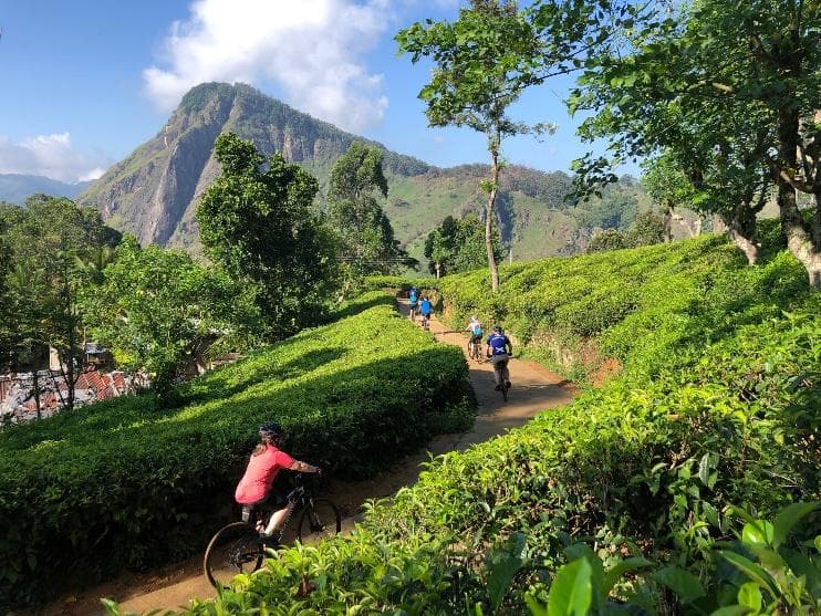 Cyclists riding through hill country near Haputale
